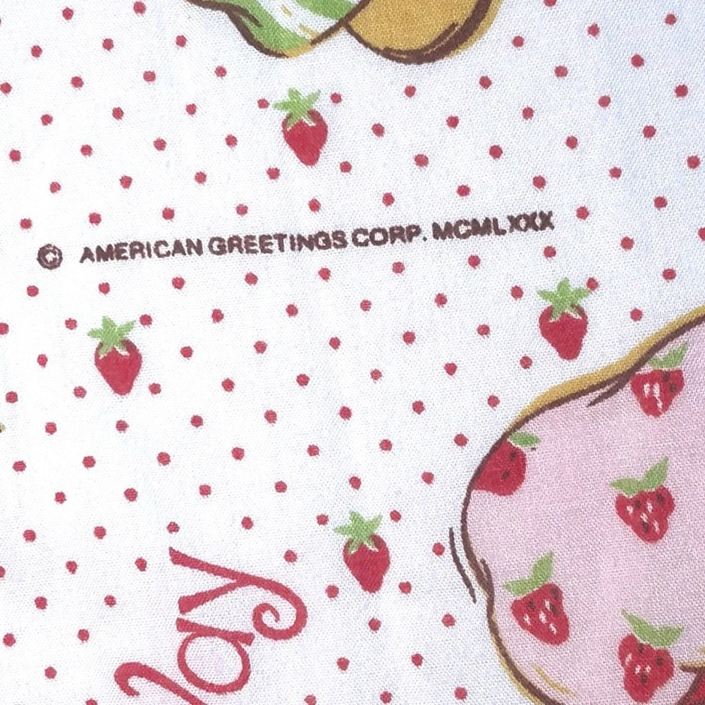 Vintage Strawberry Shortcake 3 Piece Twin Sheet Set 1980s - Fitted, Flat & Case